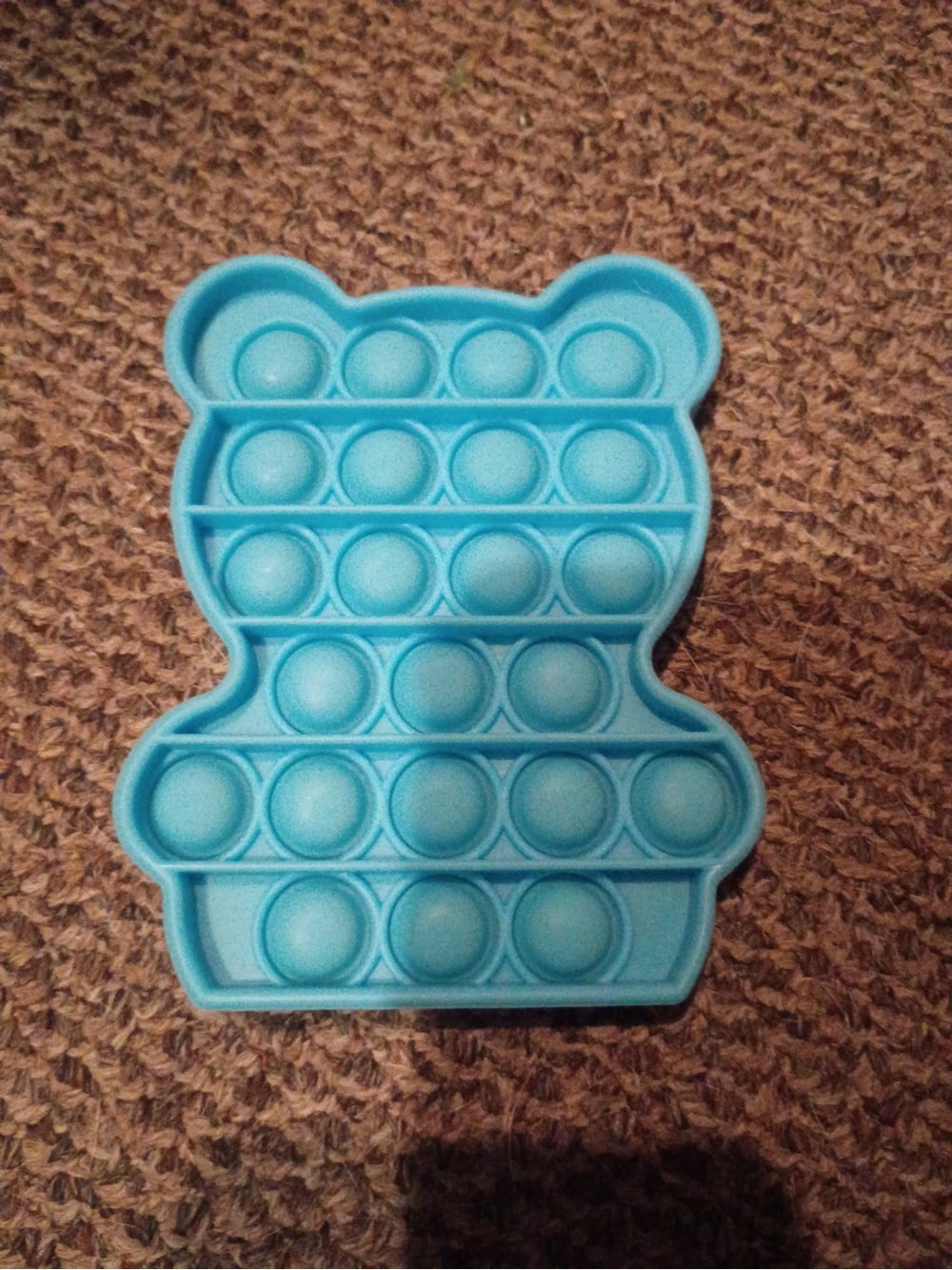 Blue Bear Pop It Sensory Fidget Toy